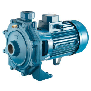 Pompe centrifuges mono fonte 1.5 kW RENSON Pompe centrifuges mono fonte 1.5 kW RENSON