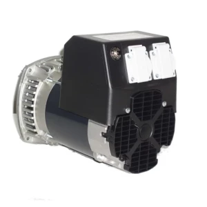 Alternateur groupe électrogène monophasé 6,6 kVA