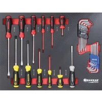 Module mousse 530x395 mm carbone tournevis DRAKKAR